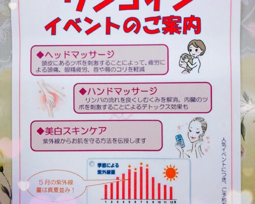 ワンコイン1