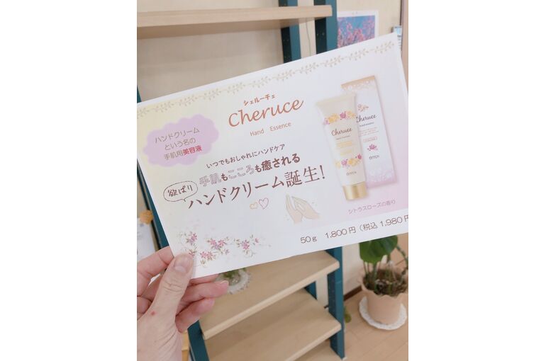 シェル―チェ